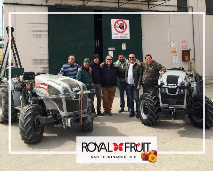 Royal Fruit San Ferdinando di pUGLIA - cARRARO fb - Divincenzo tractors